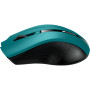 Мишка Canyon CNE-CMSW05G Wireless Green-Black (CNE-CMSW05G)
