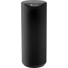 Акустическая система Canyon Portable Bluetooth Speaker Black (CNS-CBTSP5B)