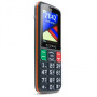 Мобильный телефон Rezone S240 Age Black Orange