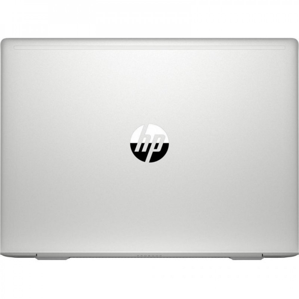 Ноутбук HP ProBook 445 G7 (7RX18AV_V2)