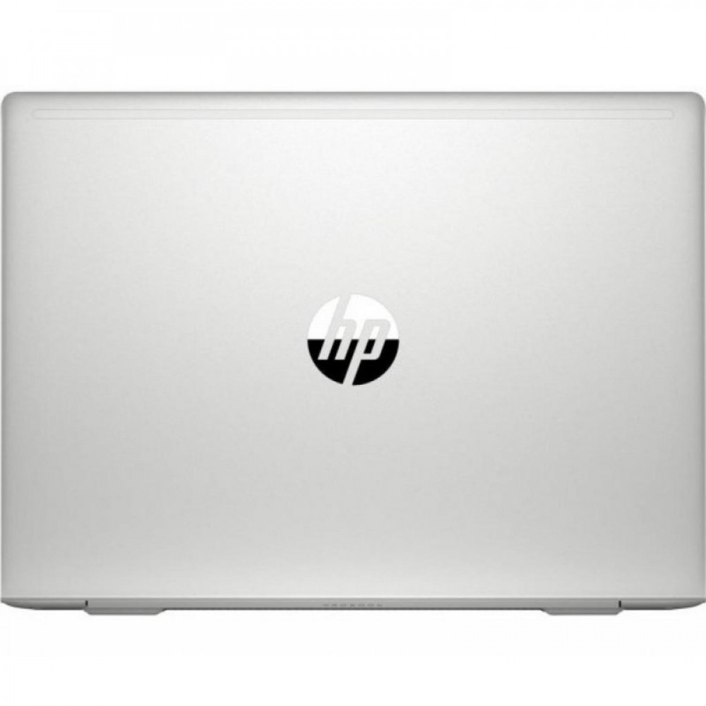 Ноутбук HP ProBook 445 G7 (7RX18AV_V10)