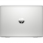 Ноутбук HP ProBook 445 G7 (7RX18AV_V10)