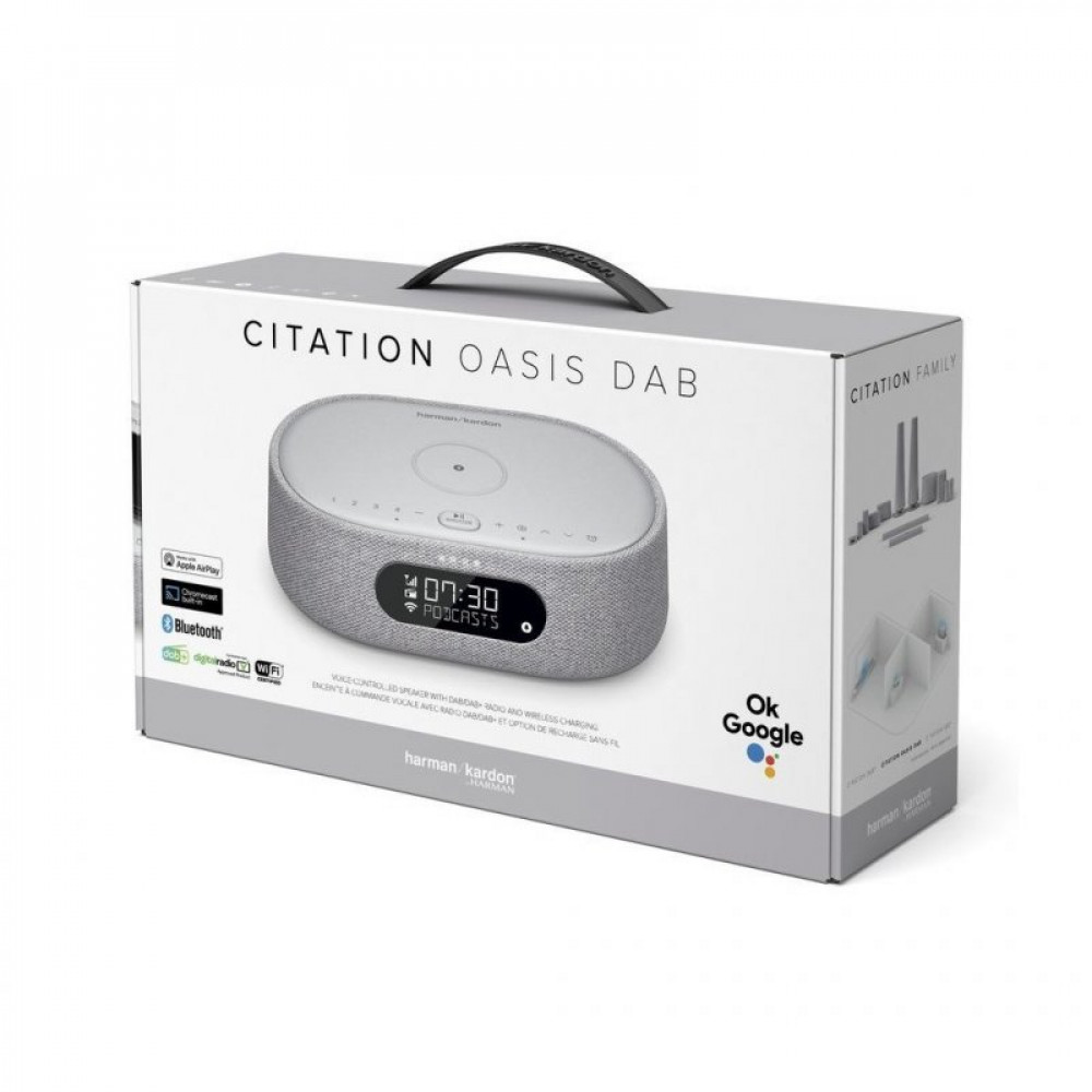 Акустична система Harman Kardon Citation Oasis Grey (HKCITAOASISGRYEU)
