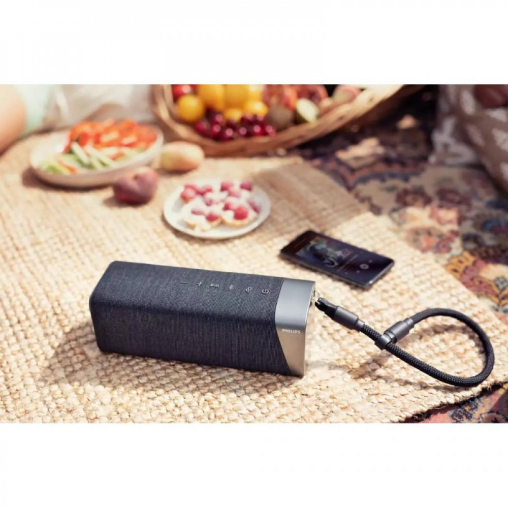 Акустическая система Philips TAS5505 Black-Grey (TAS5505/00)