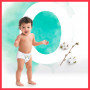 Подгузник Pampers трусики Harmonie Nappy Pants Размер 4 (9-14 кг) 24 шт (8006540181409)