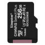 Карта памяти Kingston 256GB microSDXC class 10 UHS-I Canvas Select Plus (SDCS2/256GBSP)_