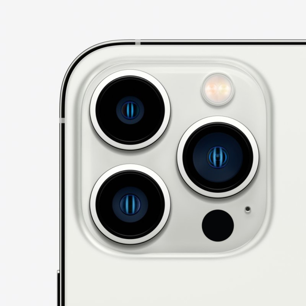 Мобильный телефон Apple iPhone 13 Pro Max 1TB Silver (MLLL3)
