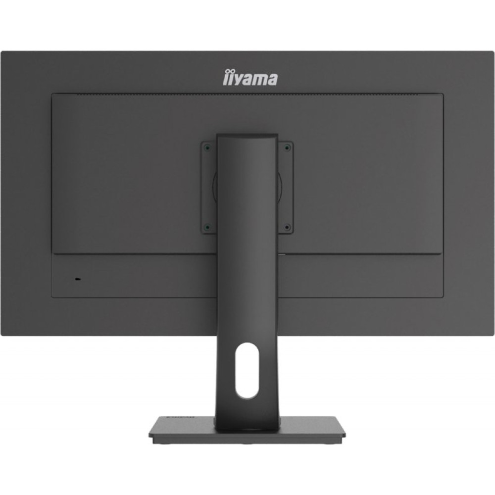 Монитор iiyama XUB2893UHSU-B1