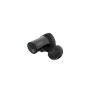 Навушники Belkin Soundform Freedom True Wireless Black (AUC002GLBK)