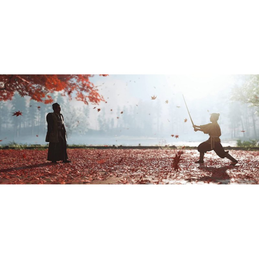 Гра Sony Ghost of Tsushima Director's Cut [PS4, Russian version] (9716594)