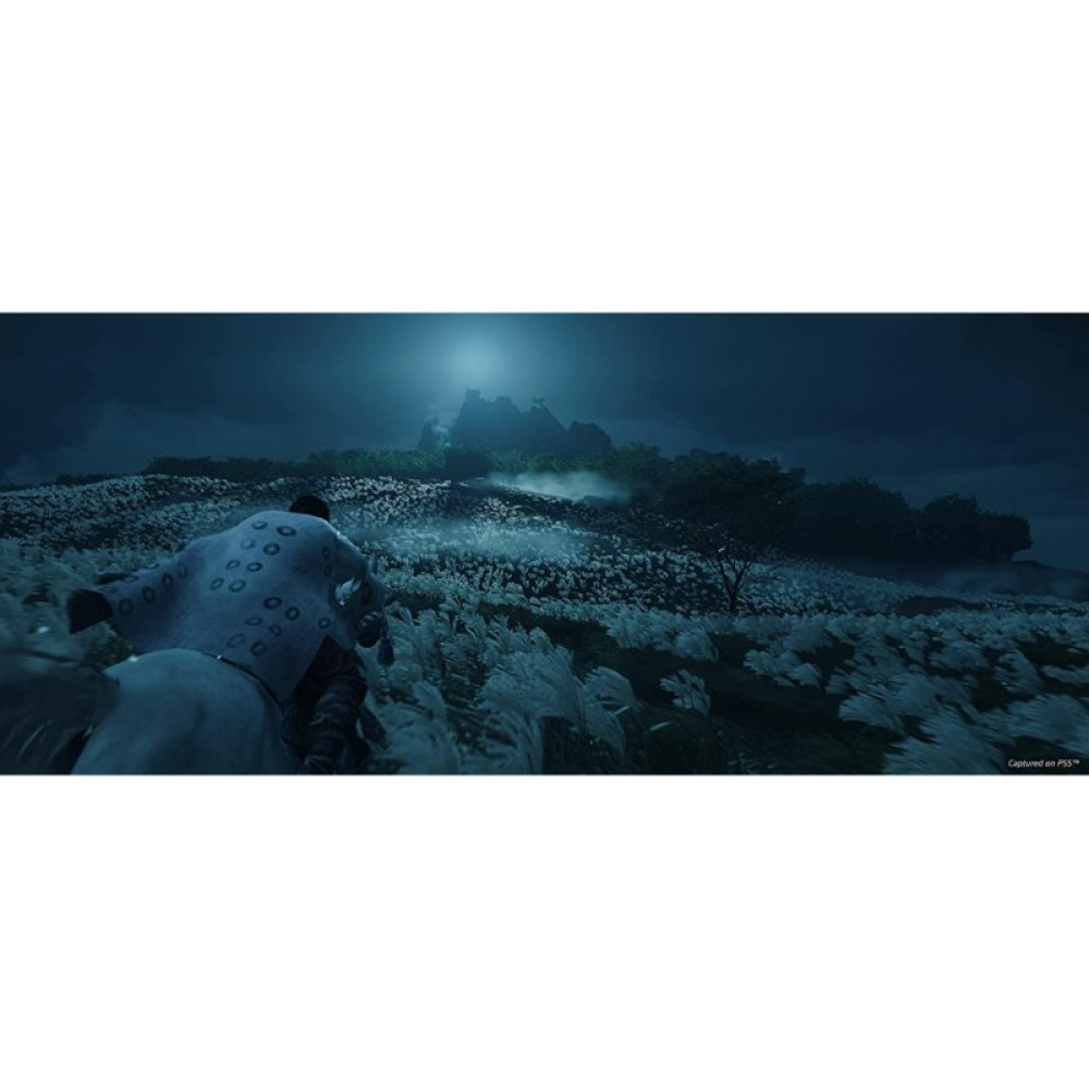 Гра Sony Ghost of Tsushima Director's Cut [PS4, Russian version] (9716594)