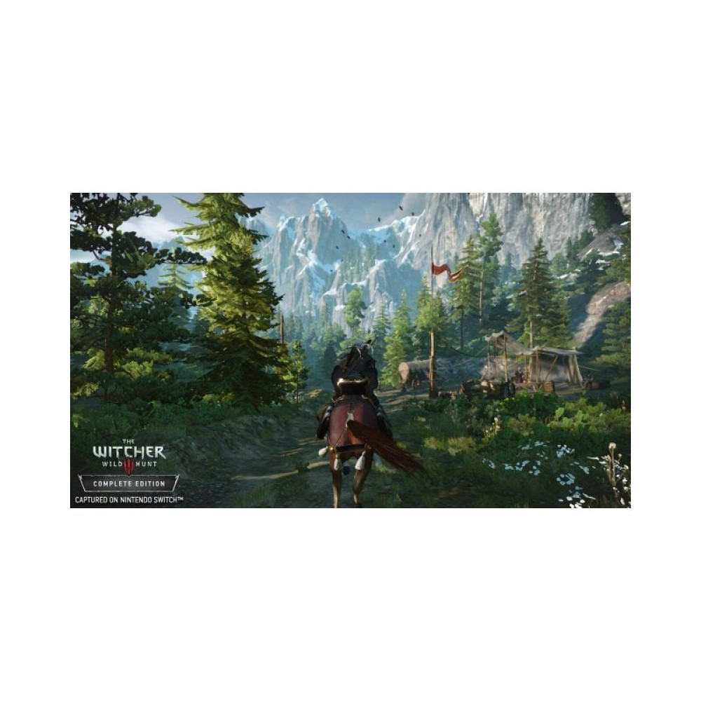 Игра Nintendo Switch The Witcher 3: Wild Hunt (1186876)