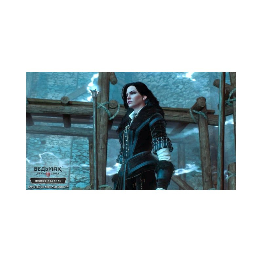 Игра Nintendo Switch The Witcher 3: Wild Hunt (1186876)