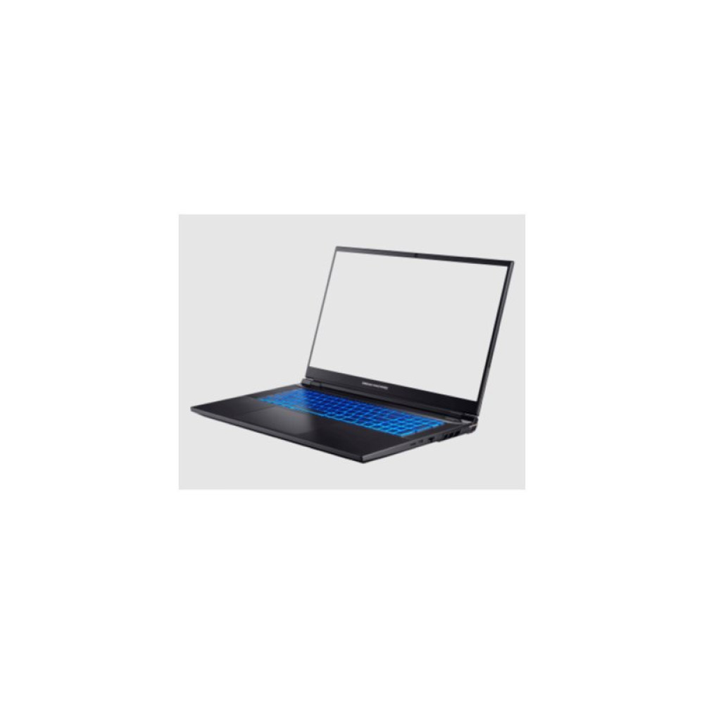 Ноутбук Dream Machines RS3070-17 (RS3070-17UA51)