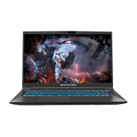 Ноутбук Dream Machines RG3060-17 (RG3060-17UA38)