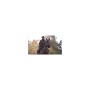 Гра Xbox Red Dead Redemption 2 [Russian subtitles] (5026555358989)