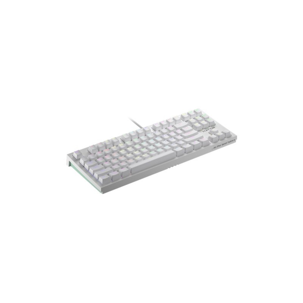 Клавиатура Hator Skyfall TKL PRO USB White (HTK-656)