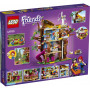 Конструктор LEGO Friends Дом друзей на дереве (41703)