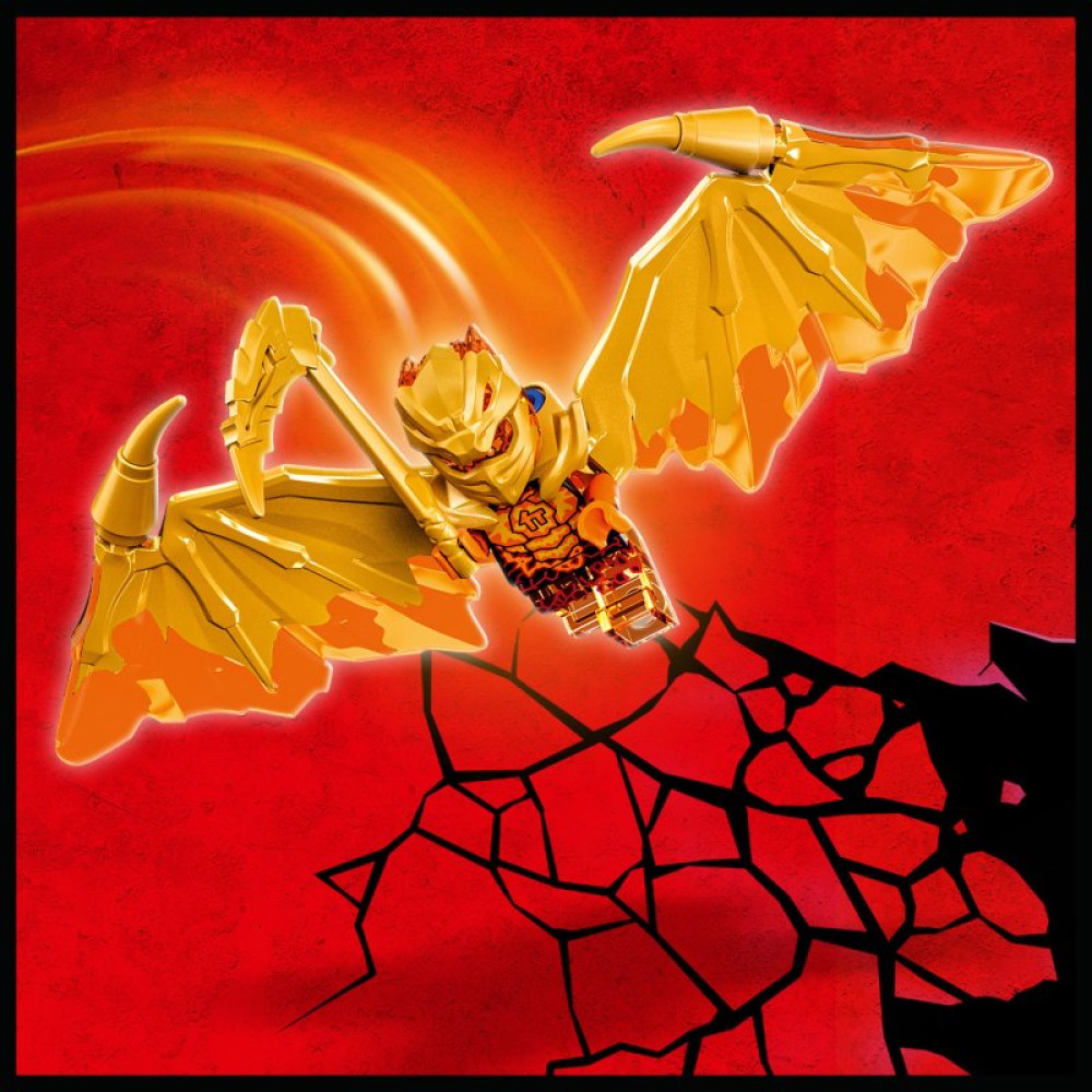 Конструктор LEGO Ninjago Самолет Золотого дракона Зейна 258 деталей (71770)