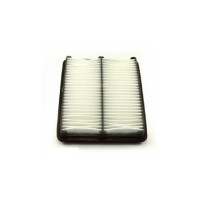 Повітряний фільтр для автомобіля ASHIKA 20-03-387