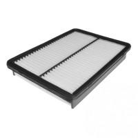 Воздушный фильтр для автомобиля Blue Print ADG022106