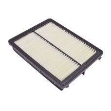 Воздушный фильтр для автомобиля Blue Print ADG022162