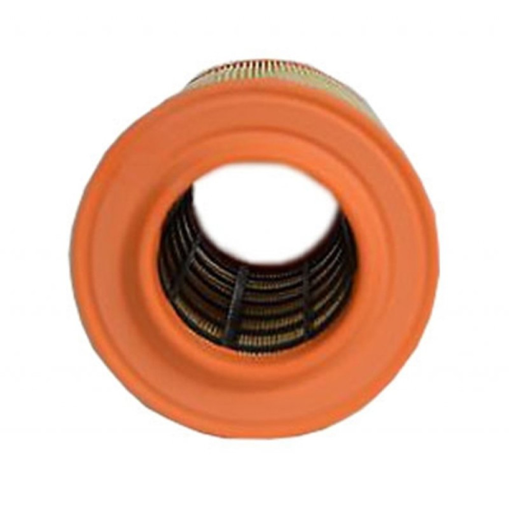 Воздушный фильтр для автомобиля Champion CAF100449C