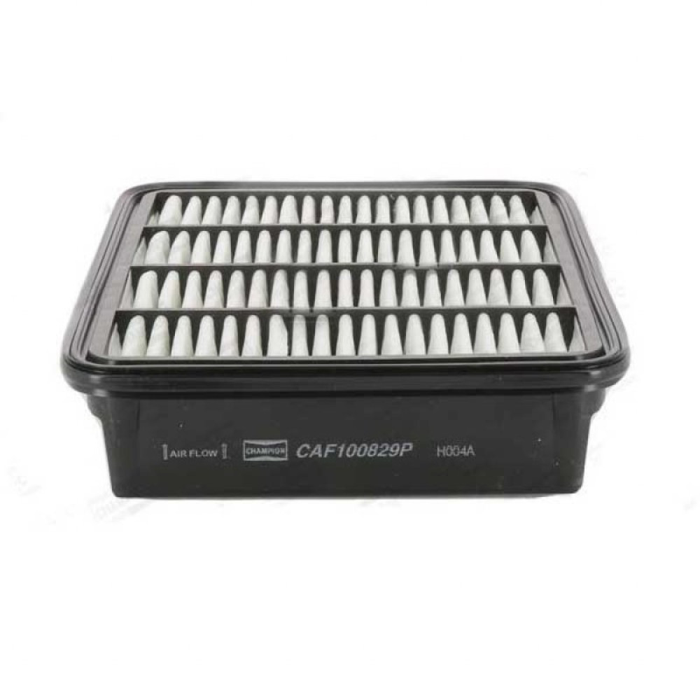 Воздушный фильтр для автомобиля Champion CAF100829P