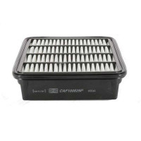 Воздушный фильтр для автомобиля Champion CAF100829P