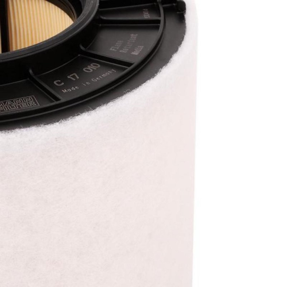 Воздушный фильтр для автомобиля Mann C17010