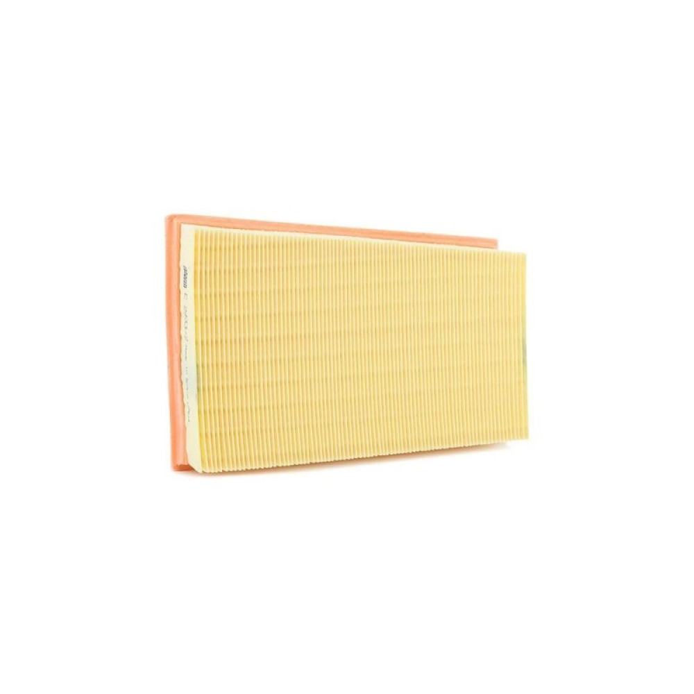 Воздушный фильтр для автомобиля Mann C2433/2