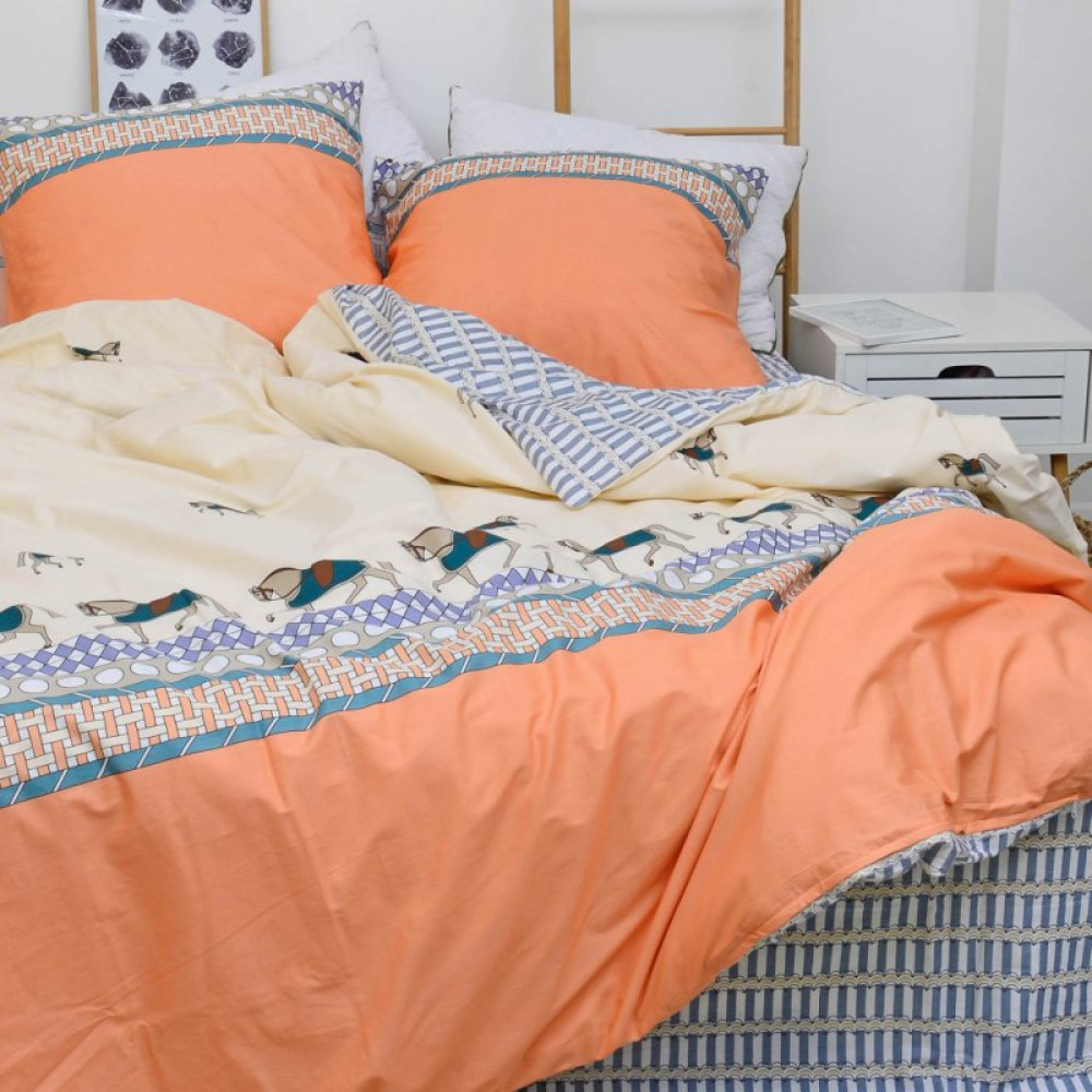 Постельное белье Viluta 547 Сатин Твил евро (2000000043586)