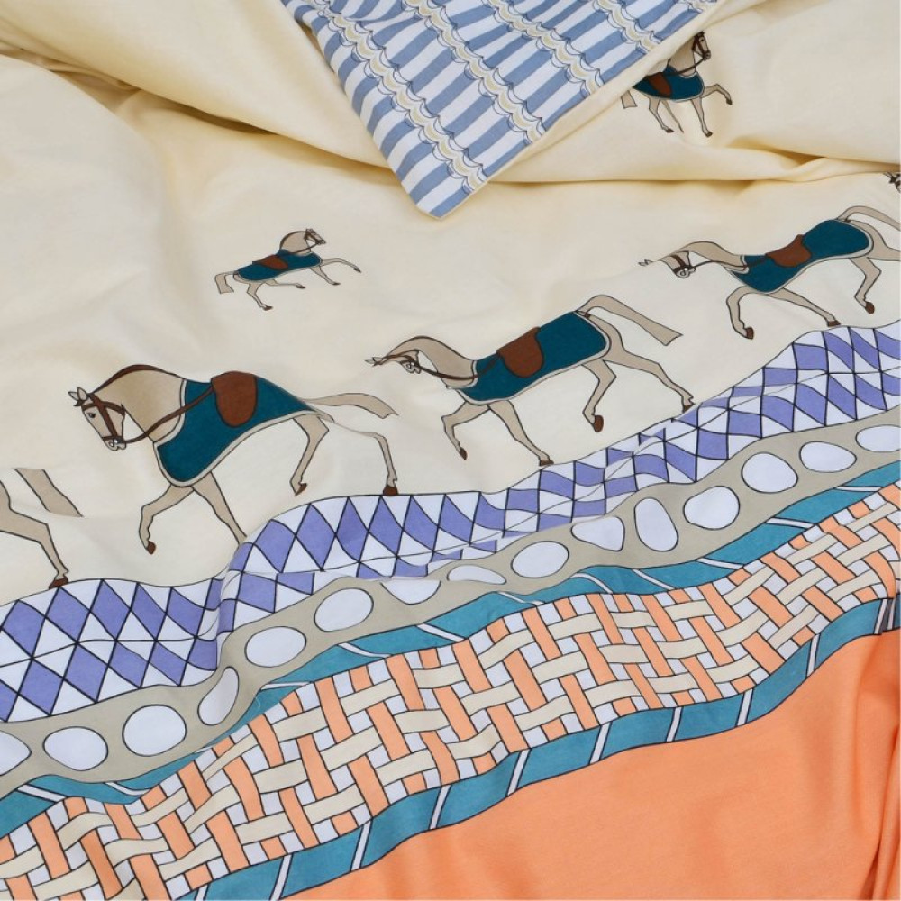 Постельное белье Viluta 547 Сатин Твил евро (2000000043586)