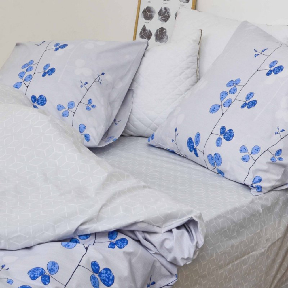 Постельное белье Viluta 21145 Ранфорс двухспальный (21145-dv) Постельное белье Viluta 21145 Ранфорс двухспальный (21145-dv)