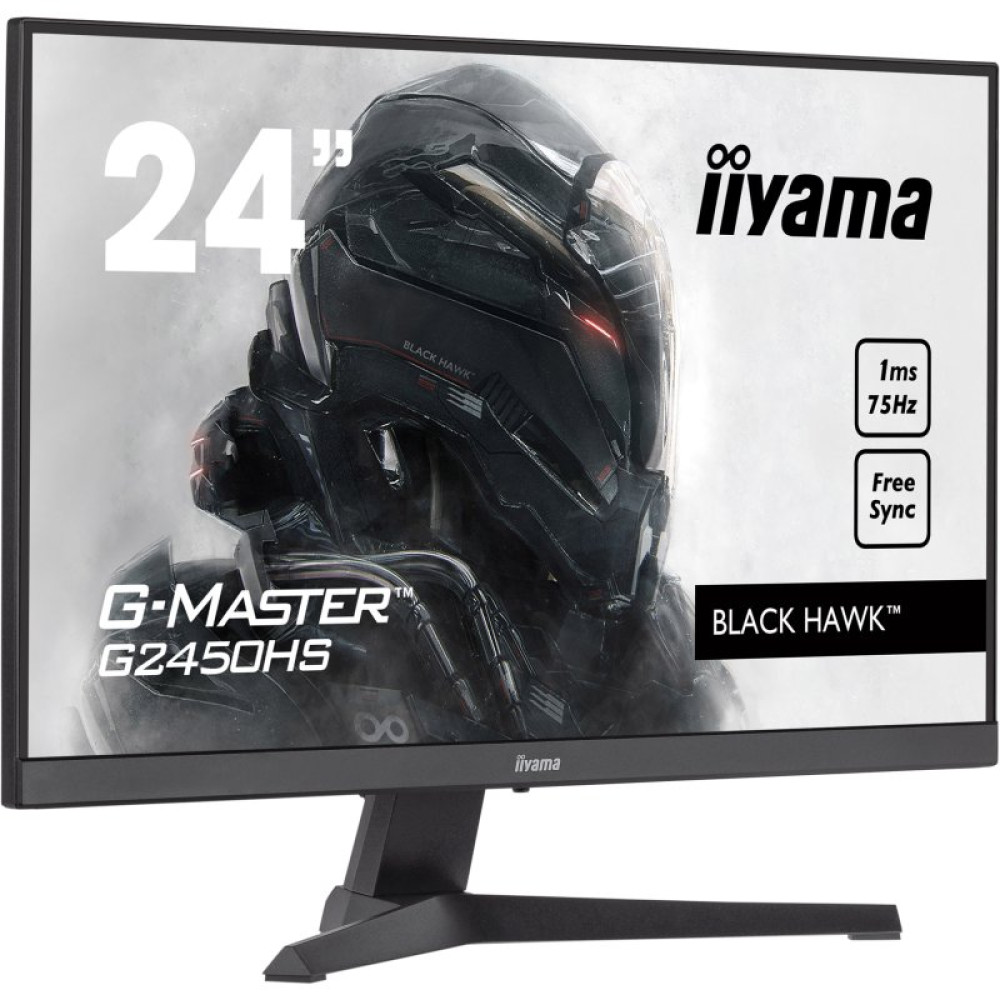 Монитор iiyama G2450HS-B1