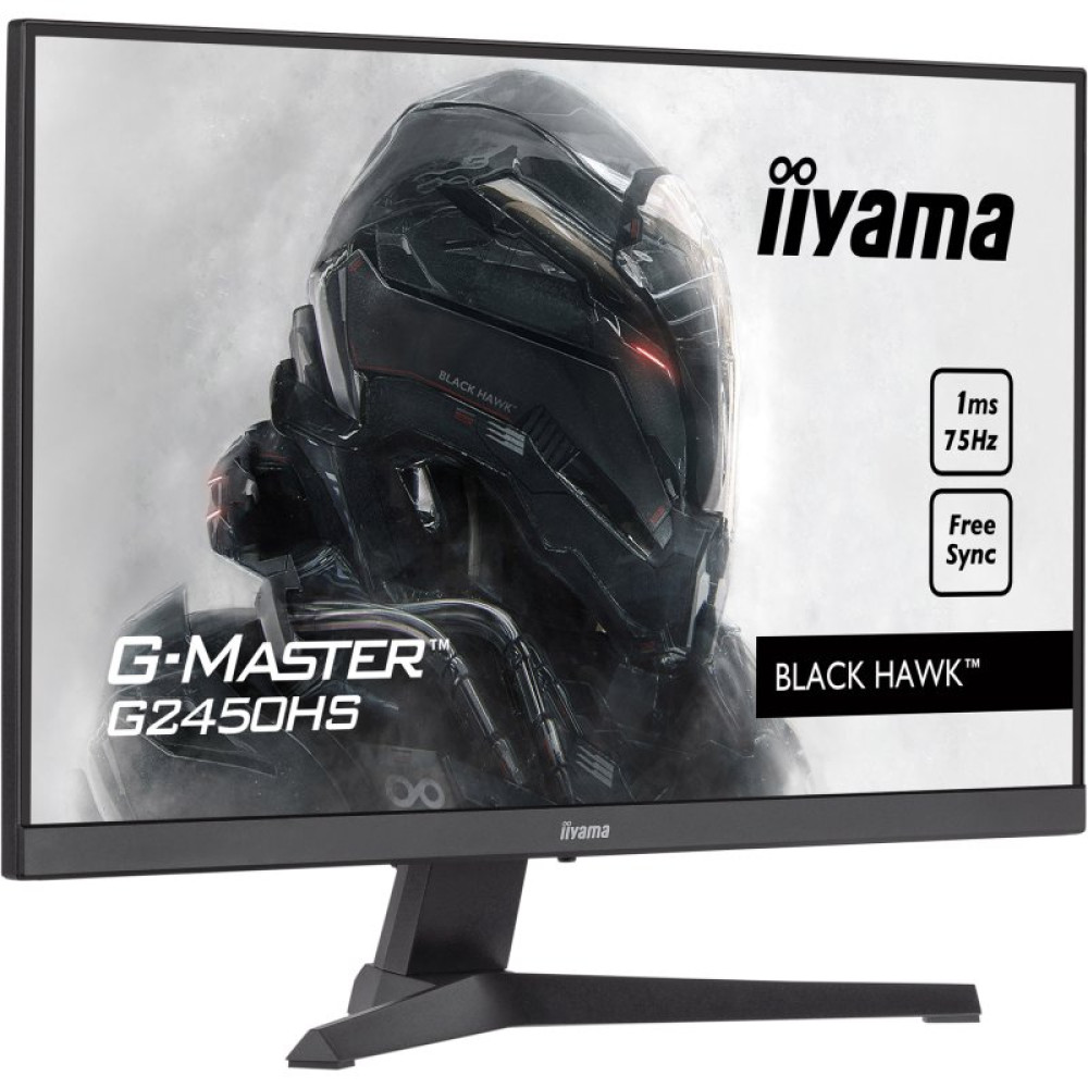 Монитор iiyama G2450HS-B1