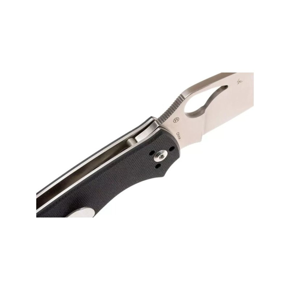 Ніж Spyderco Byrd Raven 2 G-10 (BY08GP2)