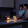 Зарядная станция Anker 521 PowerHouse 256Wh (A1720311)