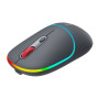Мышка Canyon MW-22 Dual Band RGB Wireless Dark Grey (CNS-CMSW22DG)