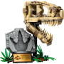 Конструктор LEGO Jurassic World Скамʼянілості динозаврів: череп тиранозавра 577 деталей (76964)