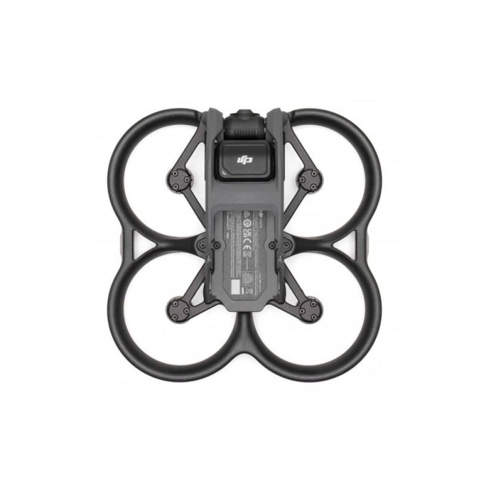 Квадрокоптер DJI Avata Pro-View Combo (CP.FP.00000101.01)
