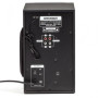 Акустическая система Greenwave SA-2512BT Black (R0015182)