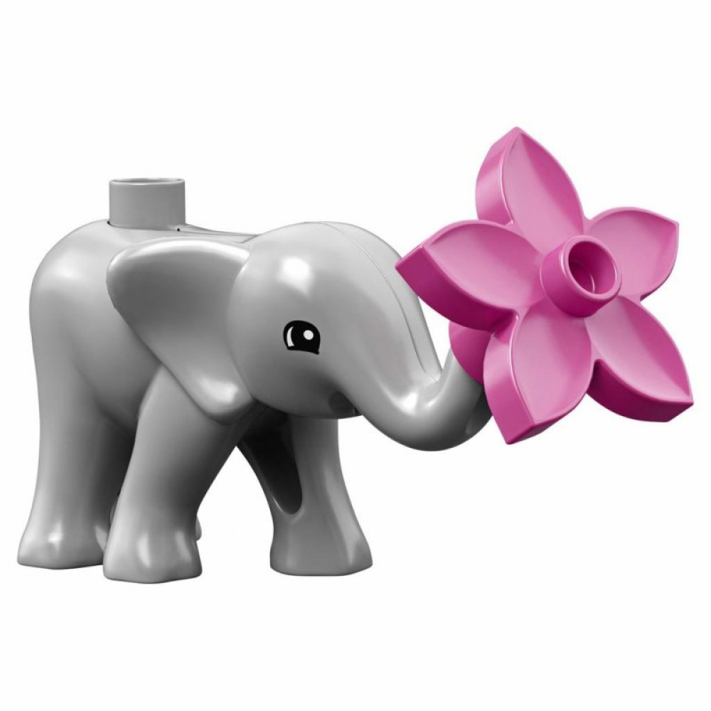 Конструктор LEGO DUPLO Детишки животных 9 деталей (10904)