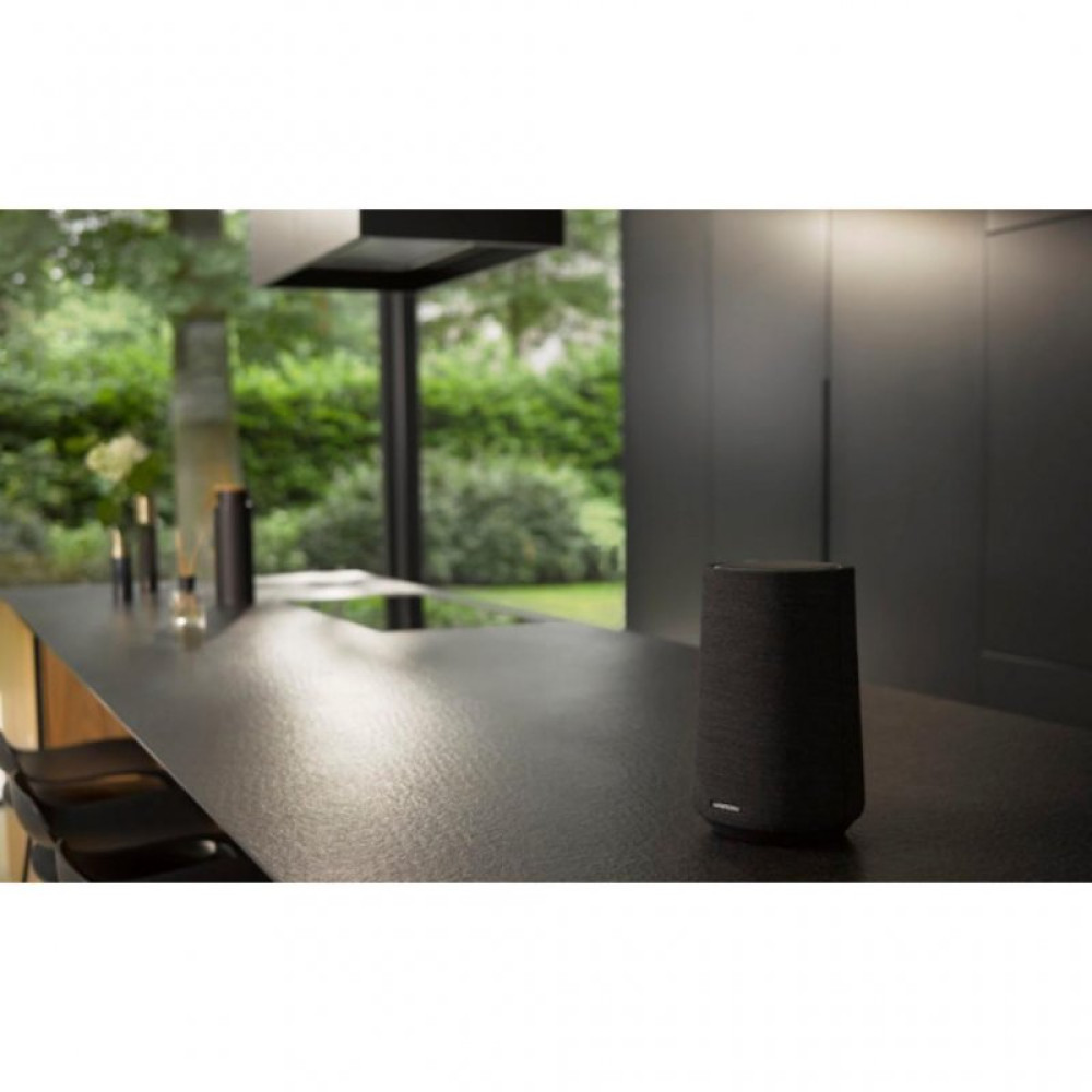 Акустична система Harman Kardon Citation 100 MKII Black (HKCITA100MKIIBLKEU)