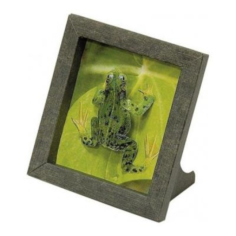 Сборная модель Умная бумага Рамка Лягушка (249) Сборная модель Умная бумага Рамка Лягушка (249)