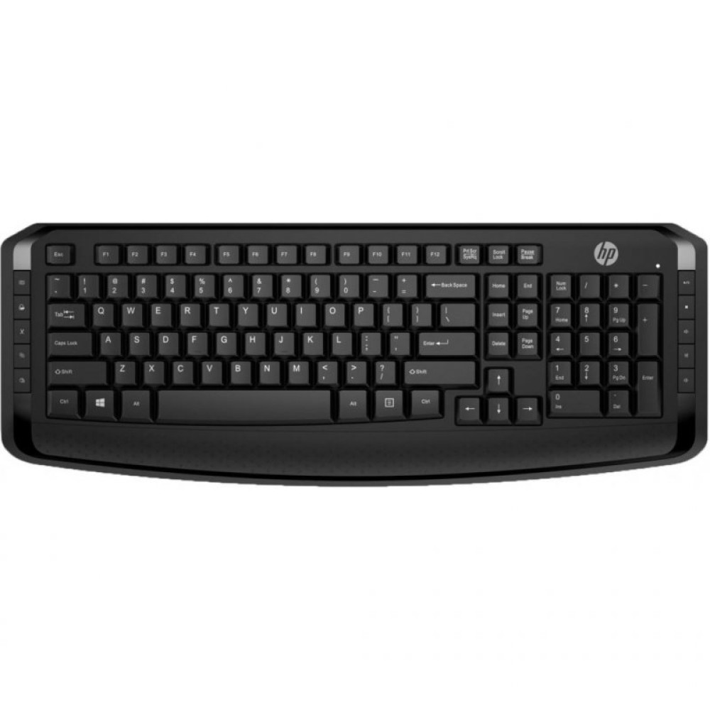 Комплект HP 300 Black (3ML04AA)