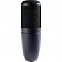 Микрофон AKG P120 Black