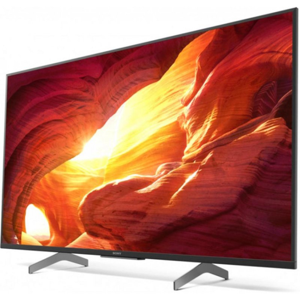 Телевізор Sony KD49XH8596BR