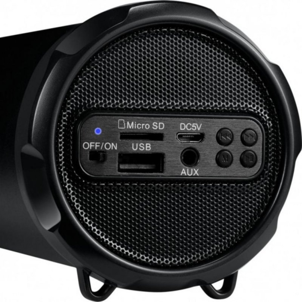Акустична система Canyon Portable Bluetooth Speaker Black (CNE-CBTSP5)