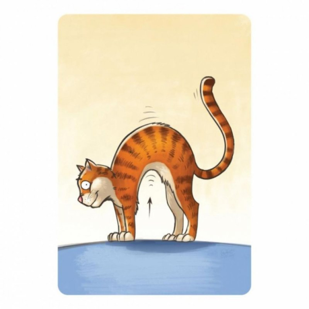 Настільна гра Hobby World Повторяшка (915099)